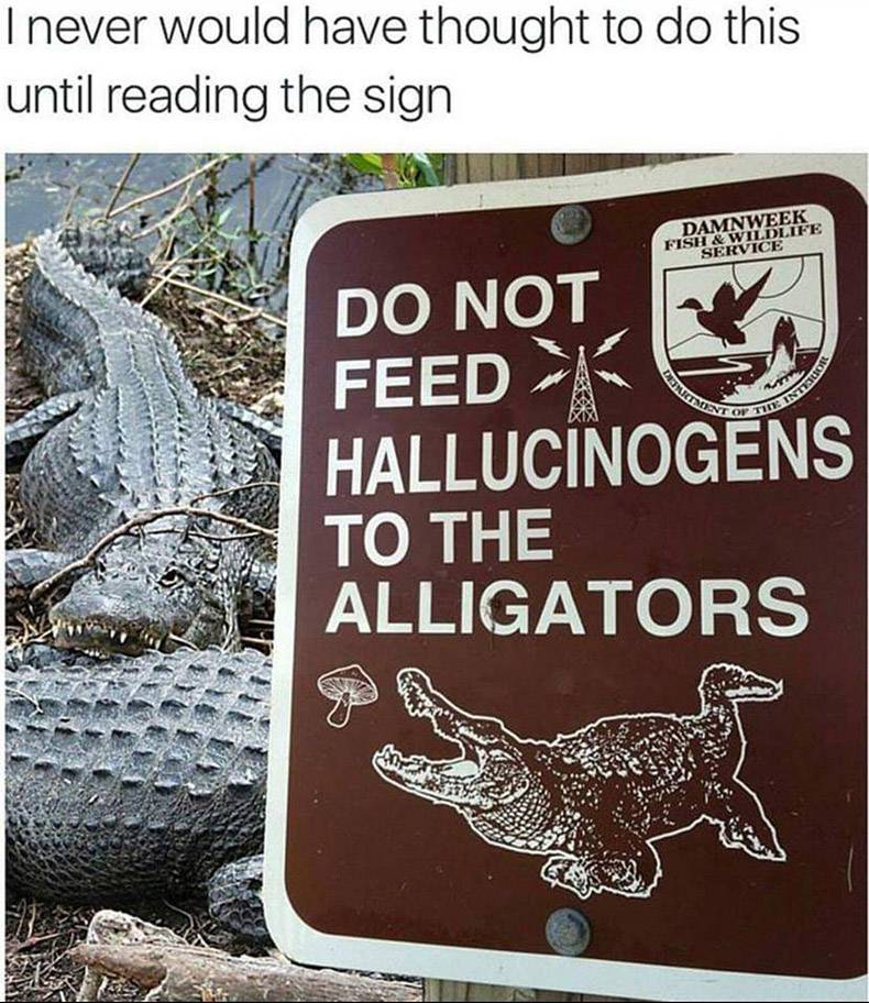 dumb signs - I never would have thought to do this until reading the sign Damnweek Fish & Wildlife Service Wonen Opti Do Not Feed >K Hallucinogens To The Alligators