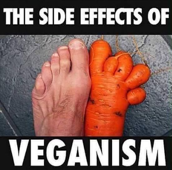 side effects of veganism funny - The Side Effects Of Veganism