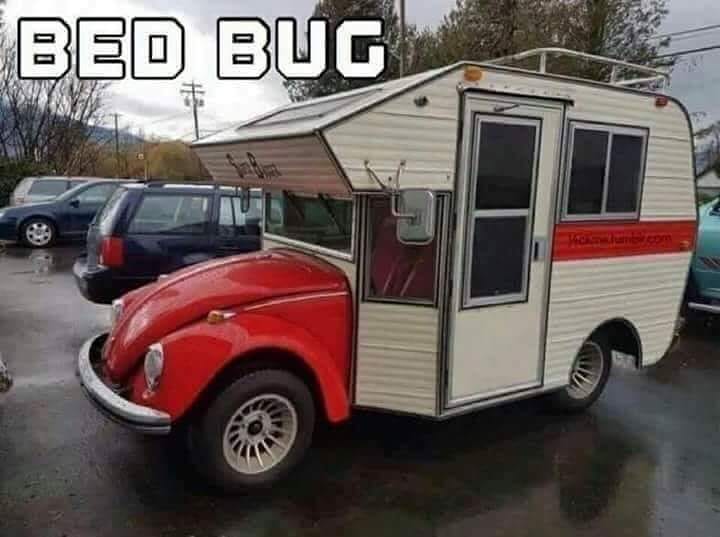 volkswagen beetle camper - Bed Bug D D