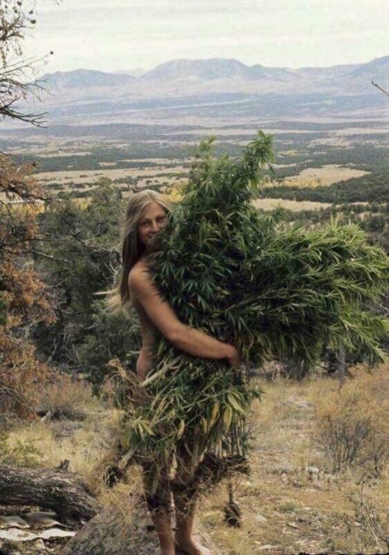 girl with massive bush