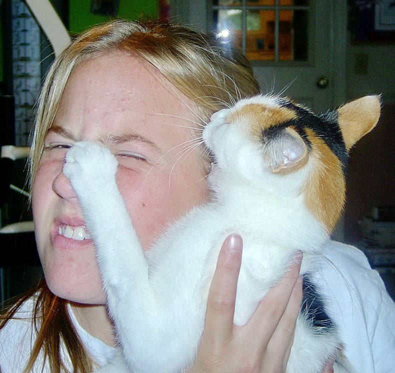 - cat paw on girls nose