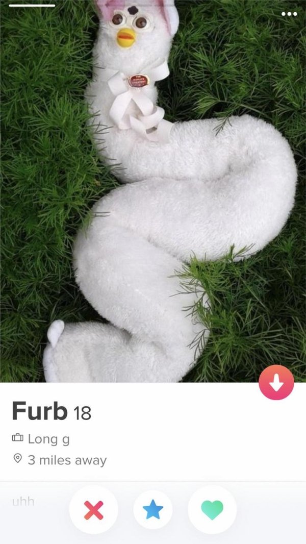 tinder - long furby - Furb 18 Long g 3 miles away uhh X