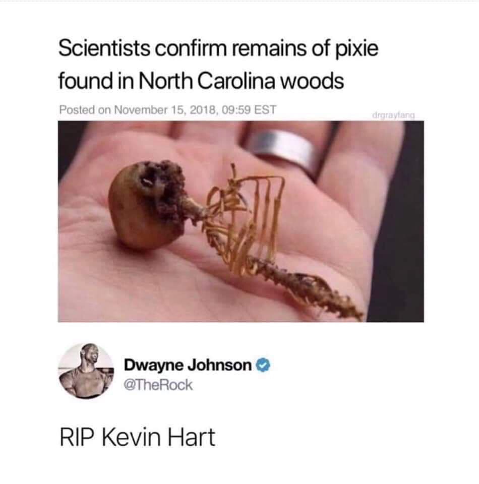 random pic dwayne johnson rip kevin hart twitter - Scientists confirm remains of pixie found in North Carolina woods Posted on , Est drgrayana Dwayne Johnson Rip Kevin Hart