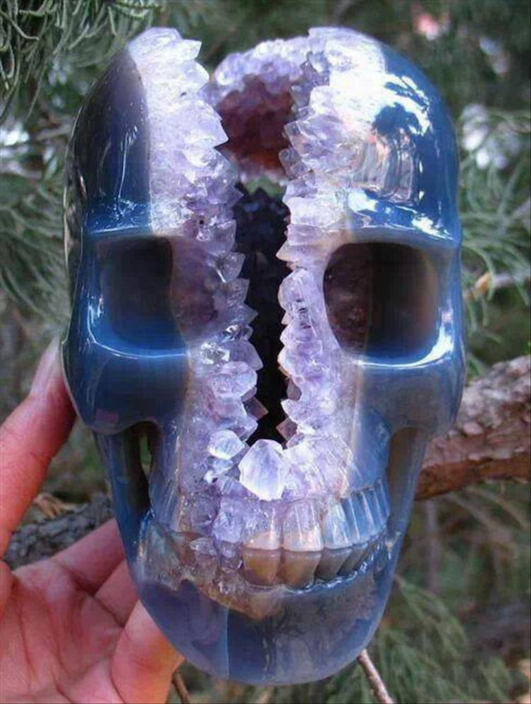 crystal skull reddit