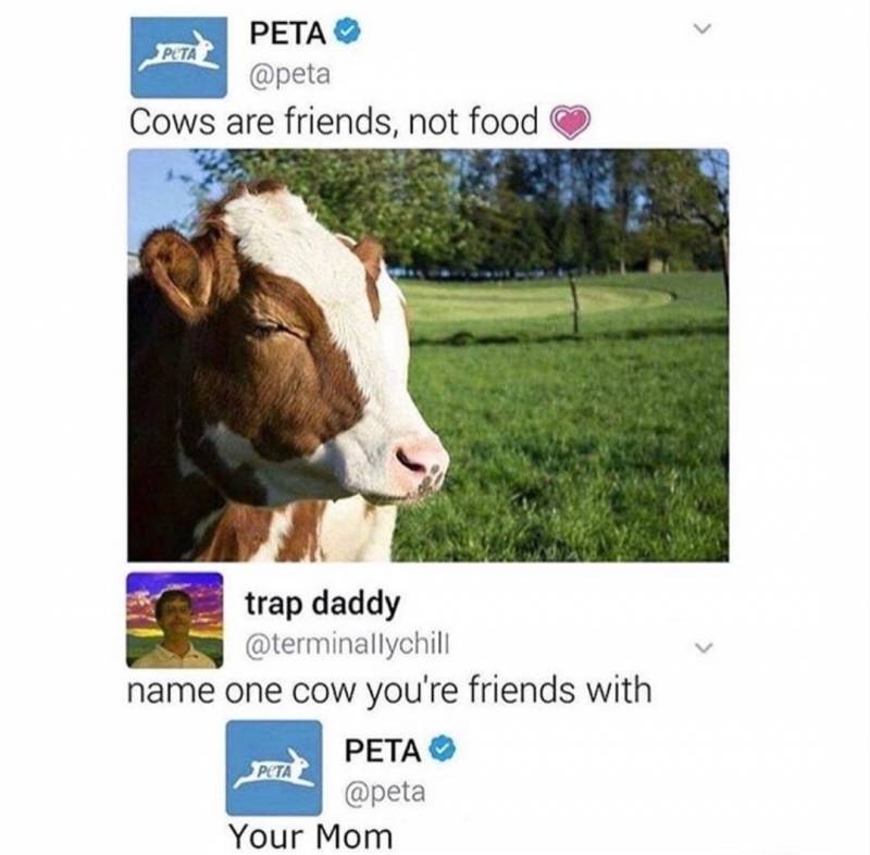 peta your mom joke - Peta Peta Cows are friends, not food trap daddy name one cow you're friends with Peta Your Mom
