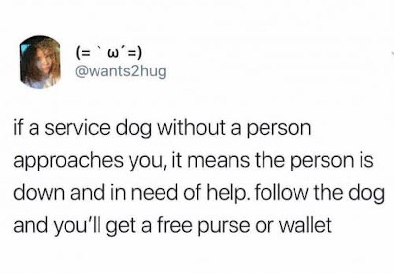 wakeupnow - 'w' 2hug if a service dog without a person approaches you, it means the person is down and in need of help. the dog and you'll get a free purse or wallet