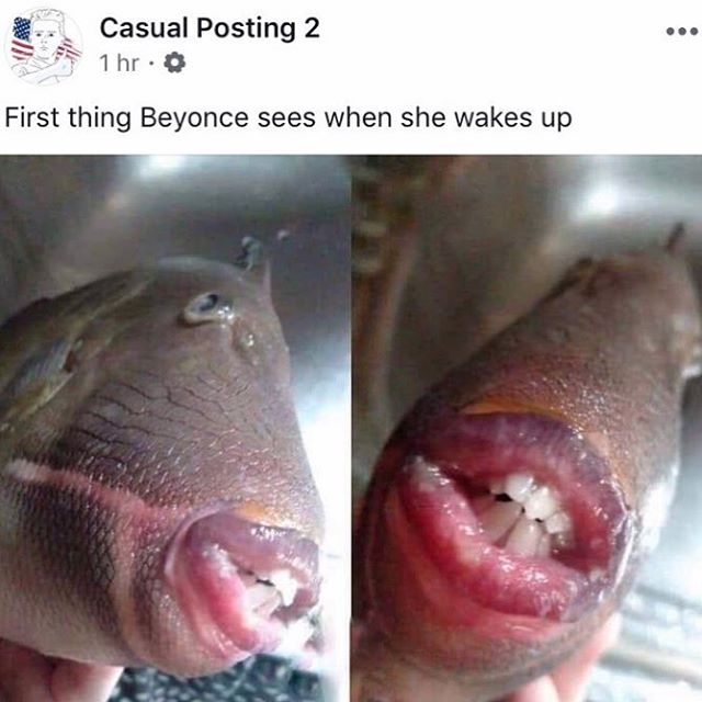 funny memes - fish - Swa Casual Posting 2 1 hr. First thing Beyonce sees when she wakes up