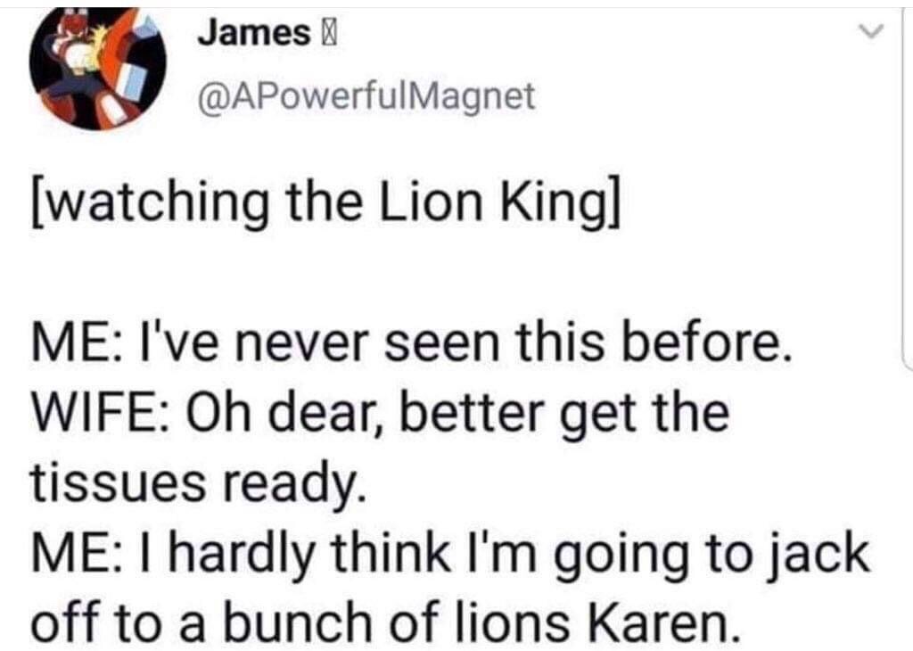 Lion - James | watching the Lion King Me I've never seen this before. Wife Oh dear, better get the tissues ready. Me I hardly think I'm going to jack off to a bunch of lions Karen. a