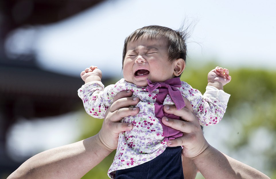 Sumo Wrestlers Strive To Make Babies Cry During Annual Japanese Festival