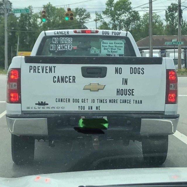 random pics - vehicle registration plate - Dog Poop Cancer No Dogs No Cancer Rico Dogs And Cancer Sa Mer Don't Want You Yo K Money Prevent No Dogs Cancer In House Cancer Dog Get 10 Times More Cance Than Lure You An Me