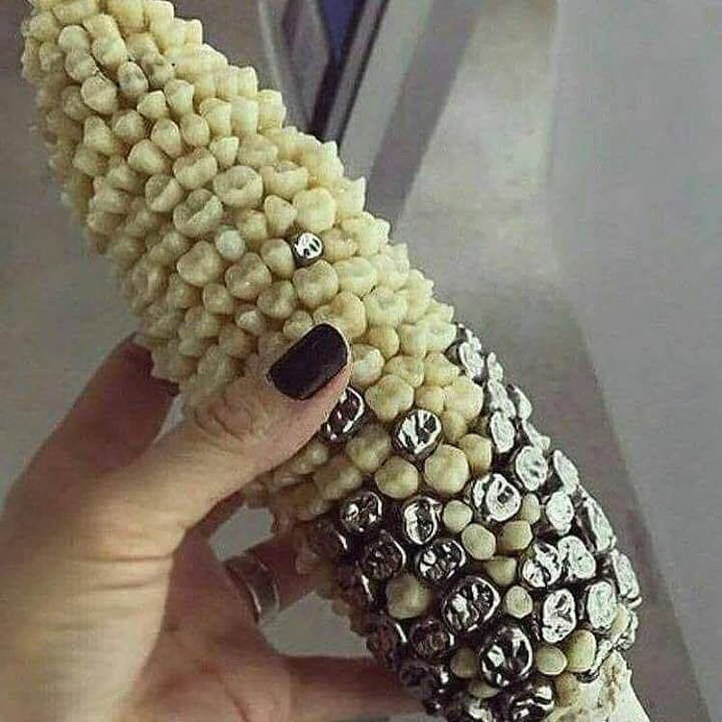 randoms - teeth corn