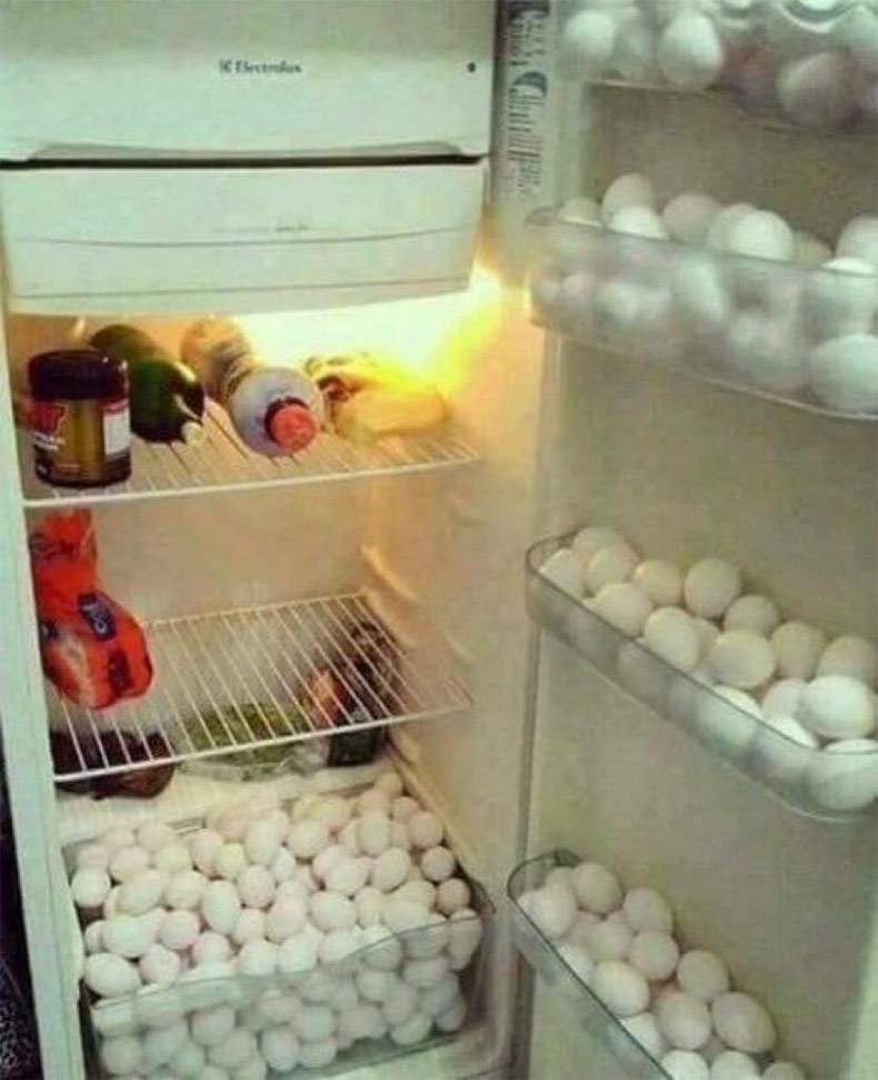 random pics - cursed eggs