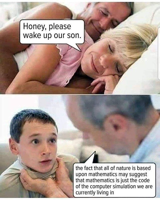 funny memes - honey wake up our son - Honey, please wake up our son. the fact that all of nature is based upon mathematics may suggest that mathematics is just the code of the computer simulation we are currently living in
