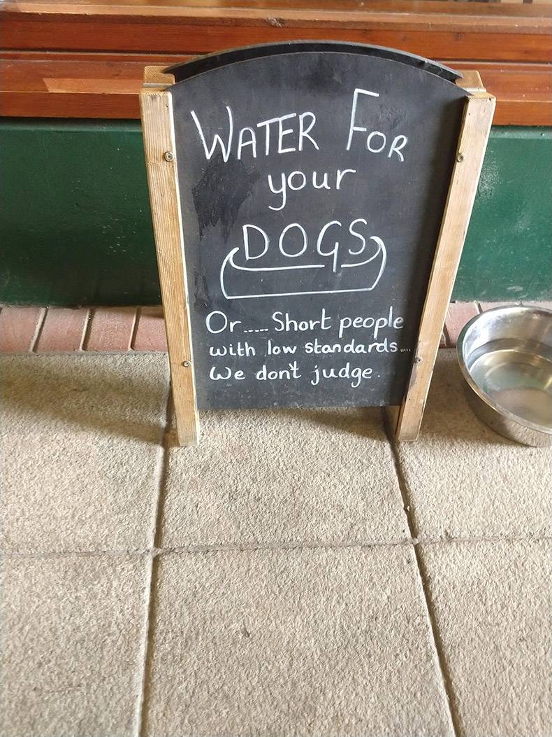 blackboard - Water For your Dogs, Or..... Short people with low standards... We dont judge