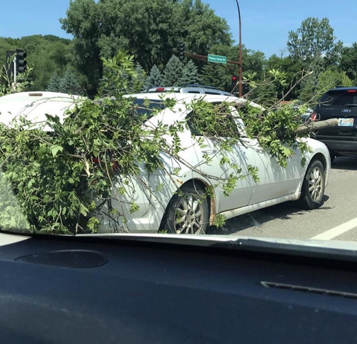 family car