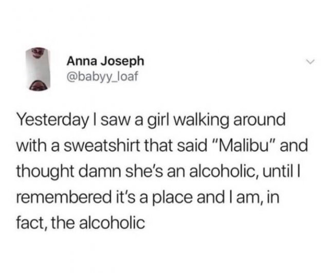 am in fact an alcoholic - Anna Joseph Yesterday I saw a girl walking around with a sweatshirt that said "Malibu" and thought damn she's an alcoholic, until | remembered it's a place and I am, in fact, the alcoholic