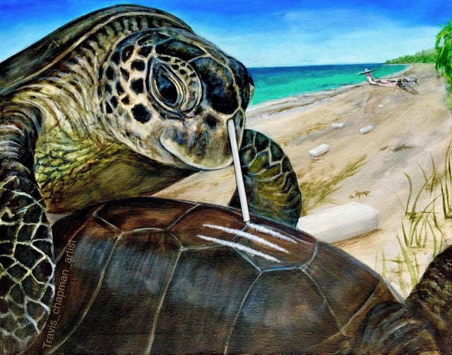 tortoise - Travis_chapman_artist