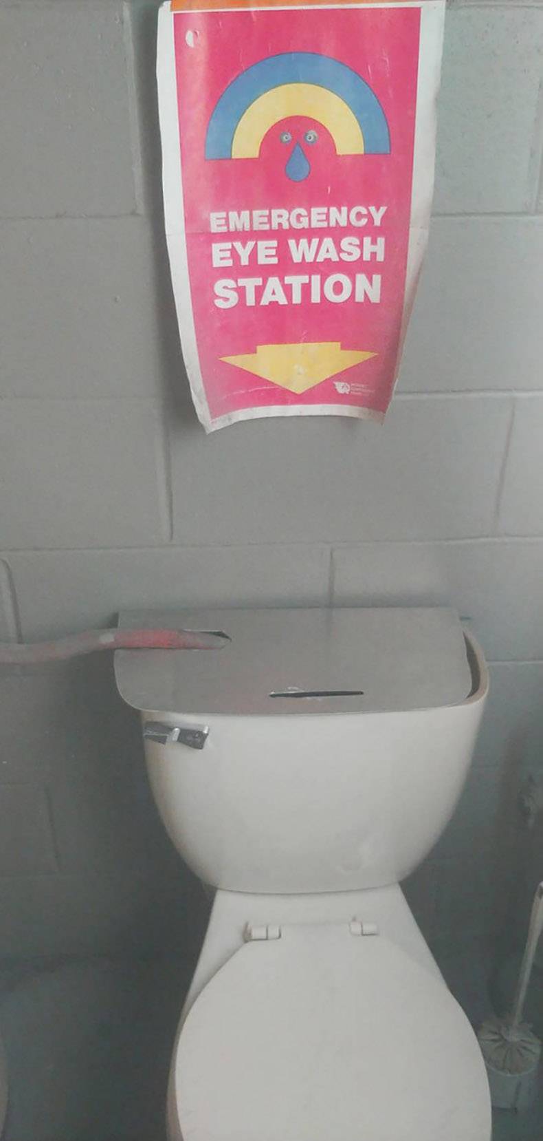 toilet seat - Emergency Eye Wash Station