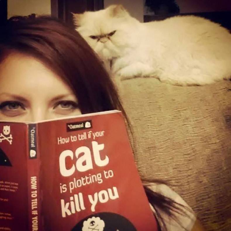 your cat plotting to kill you - "Oatmeal a "Oatmeal 0 How to tell if your How To Tell If Your cat is plotting to kill you