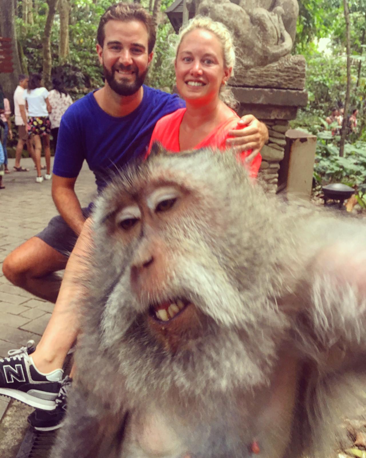 macaque photobombs a couples pic
