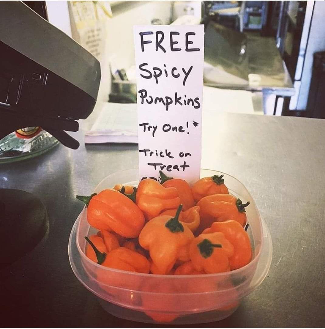 orange - Free Spicy Pumpkins Try One! Trick on Treat