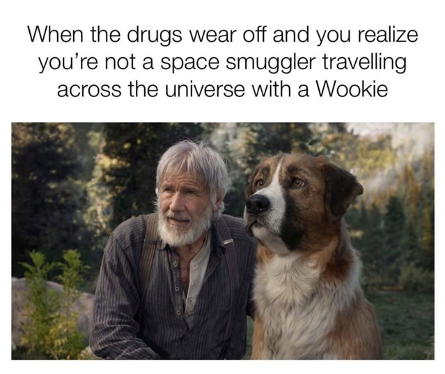 call of the wild harrison ford - When the drugs wear off and you realize you're not a space smuggler travelling across the universe with a Wookie