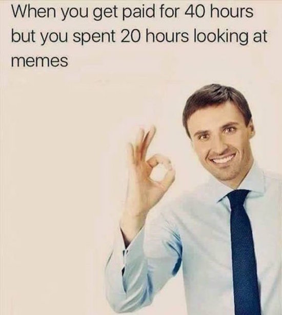 you get paid to look at memes - When you get paid for 40 hours but you spent 20 hours looking at memes