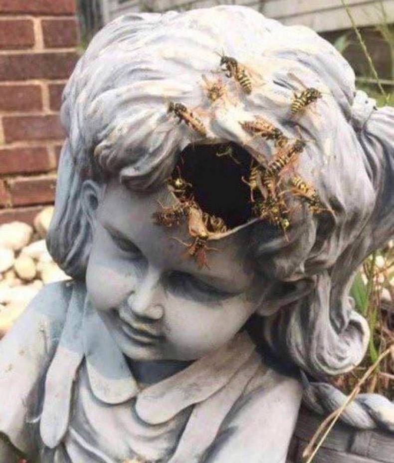 wasp nest statue