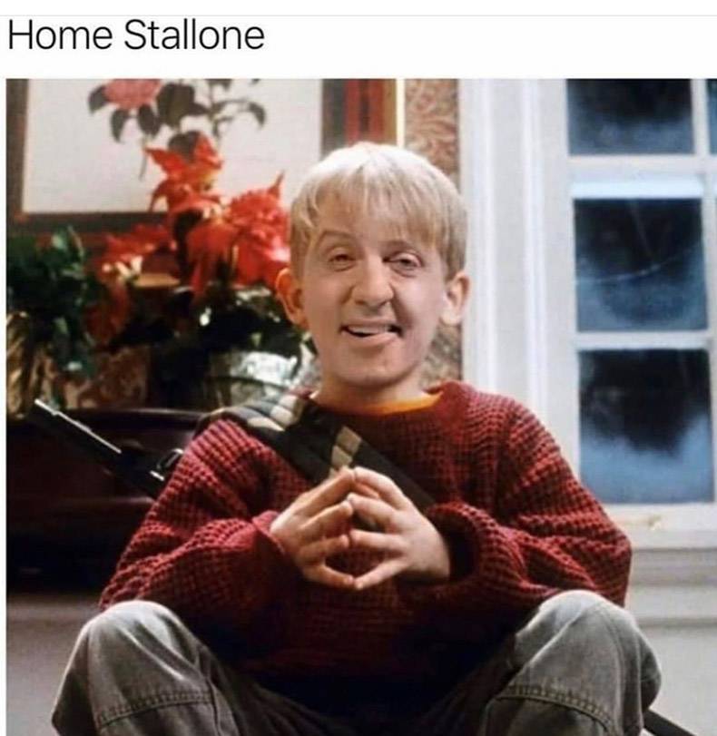 kevin from home alone - Home Stallone