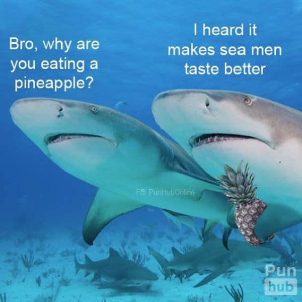 lemon sharks - Bro, why are you eating a pineapple? I heard it makes sea men taste better Fb Puntfuboriline Pun hub