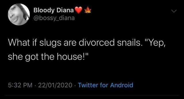 atmosphere - Bloody Diana 'What if slugs are divorced snails. "Yep, she got the house!" 22012020 Twitter for Android