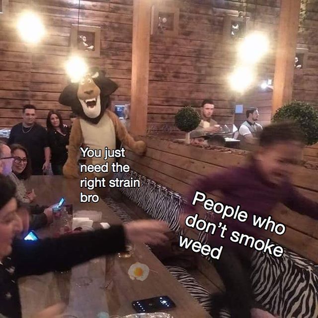 fun - You just need the right strain bro People who don't smoke weed