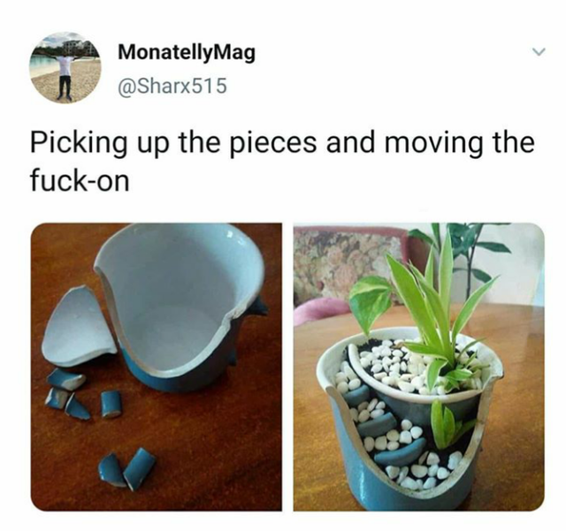 plant - MonatellyMag Picking up the pieces and moving the fuckon