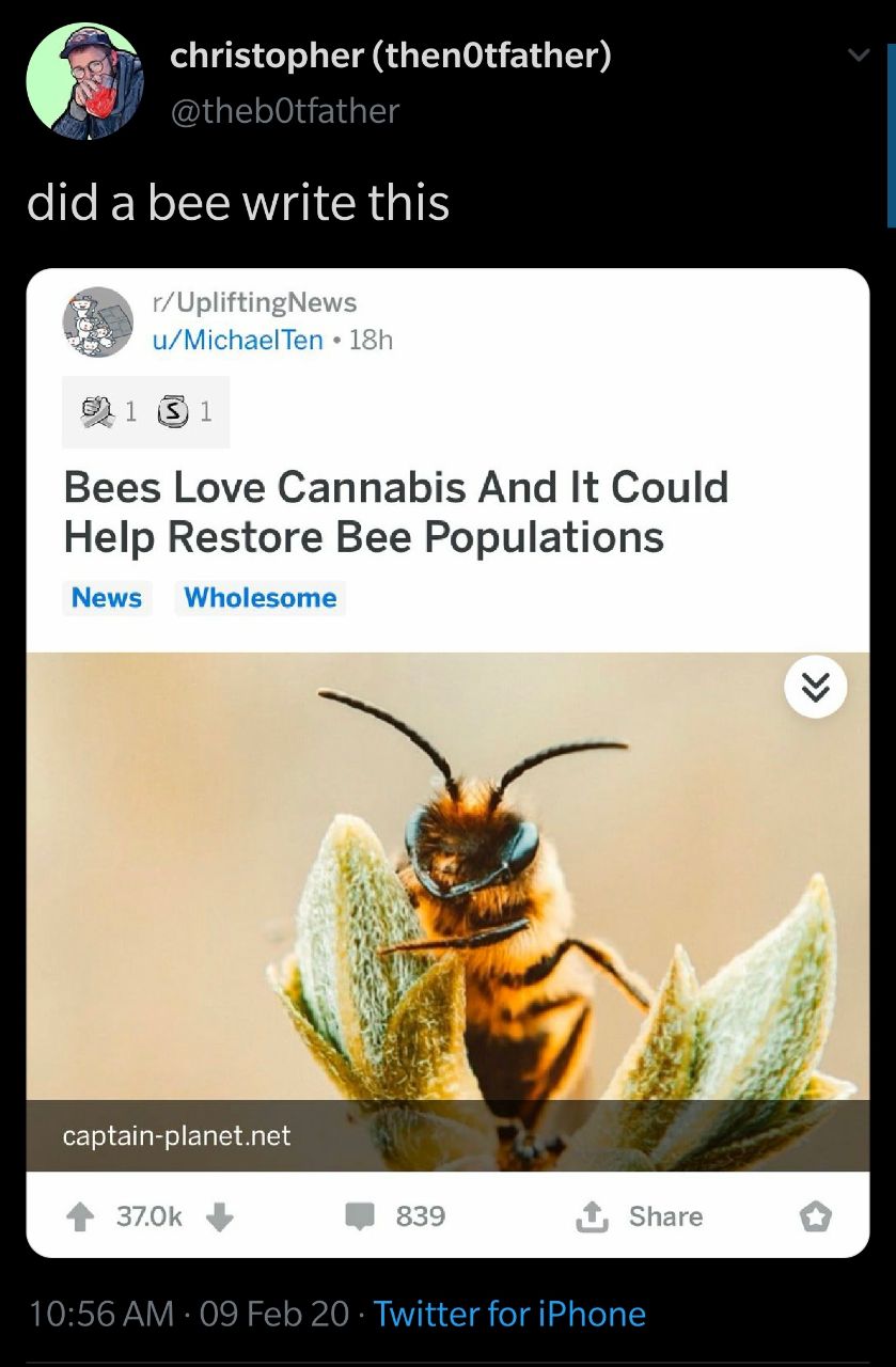 honey bee - christopher thenotfather did a bee write this rUpliftingNews uMichael Ten 18h 131 Bees Love Cannabis And It Could Help Restore Bee Populations News Wholesome captainplanet.net 4 37.0 839 09 Feb 20. Twitter for iPhone