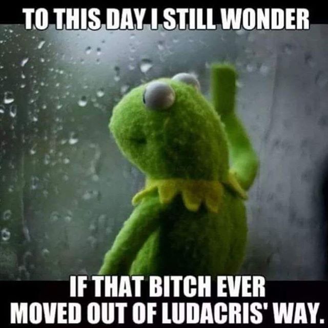 kermit ludacris meme - To This Day I Still Wonder If That Bitch Ever Moved Out Of Ludacris' Way.