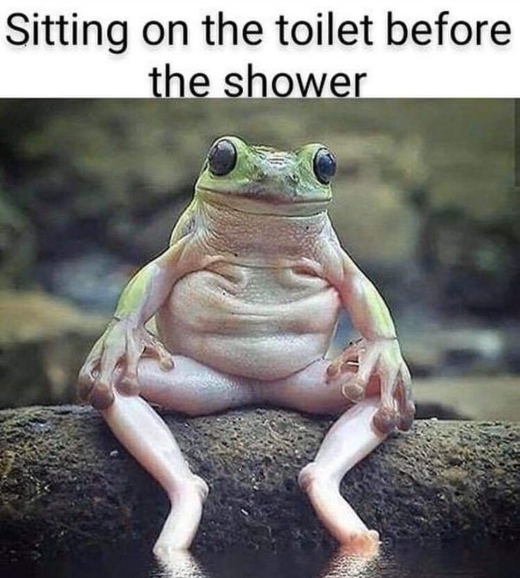 reddit frog sitting - Sitting on the toilet before the shower