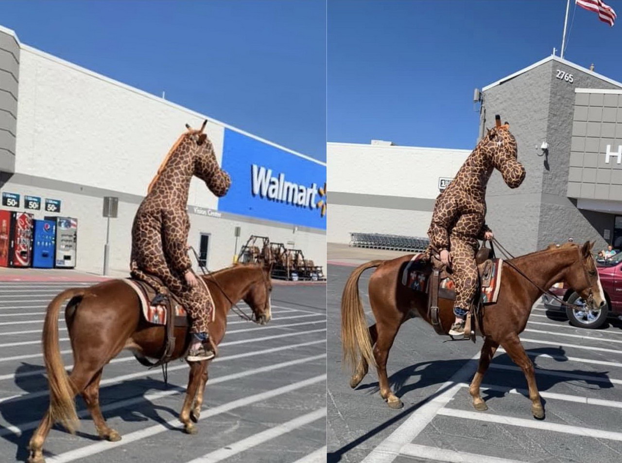 horse - 2765 Walmart