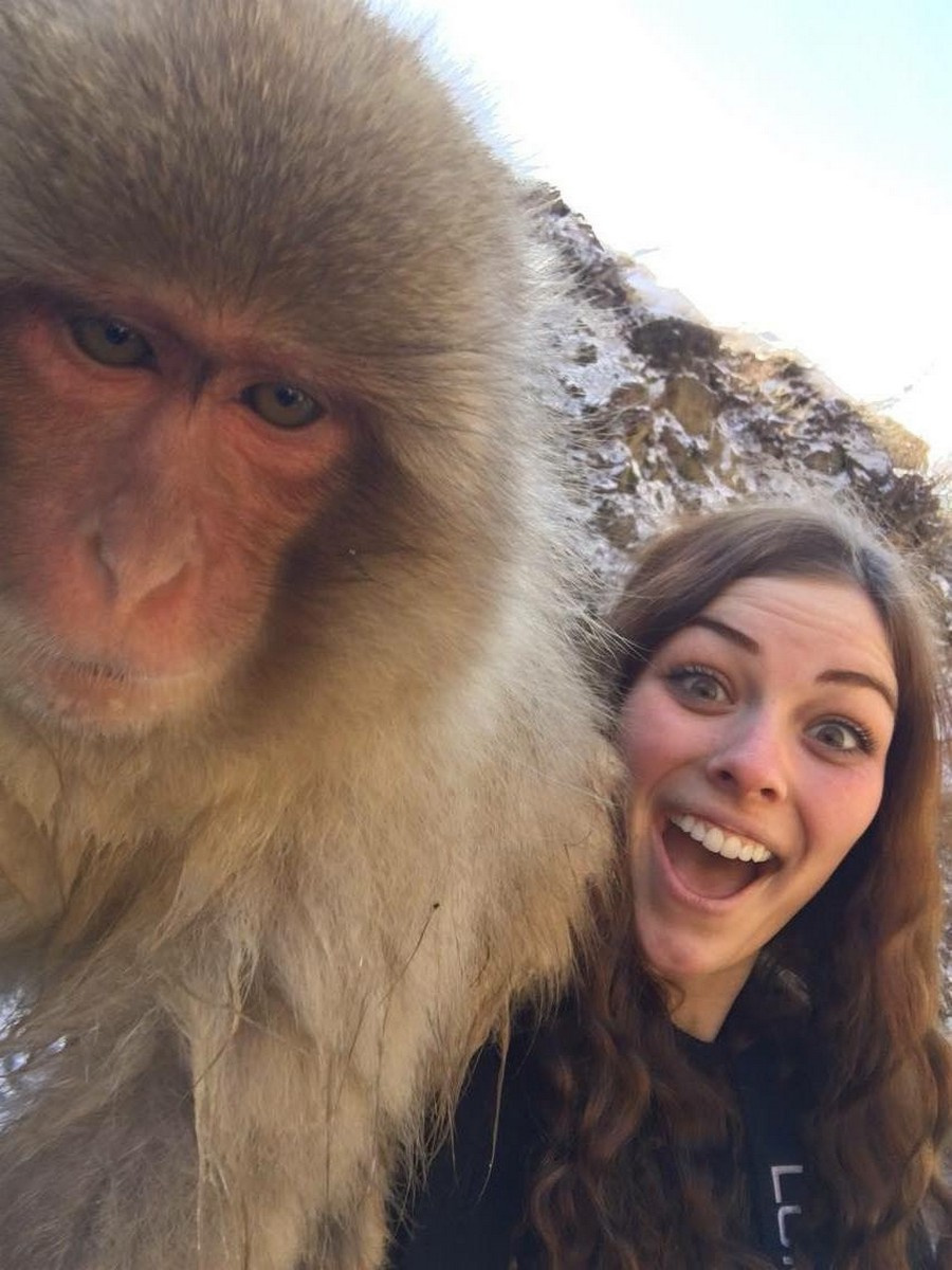monkey with girl