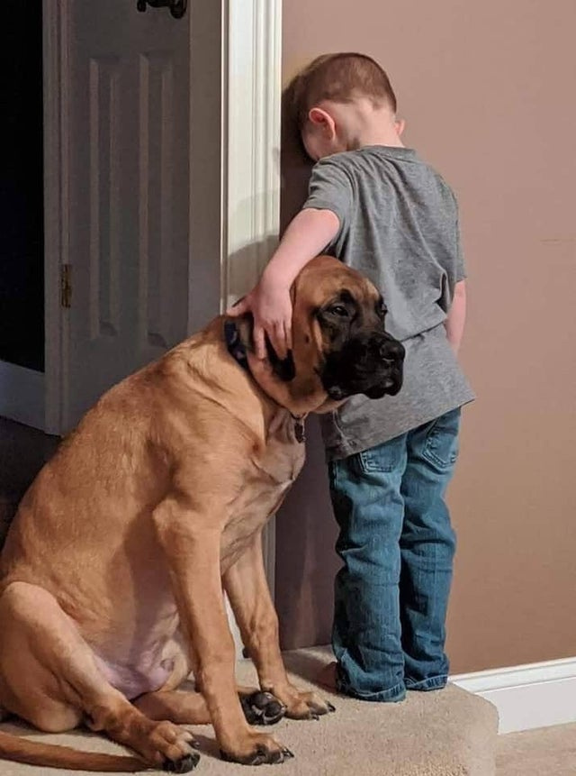 dog and kid in time out