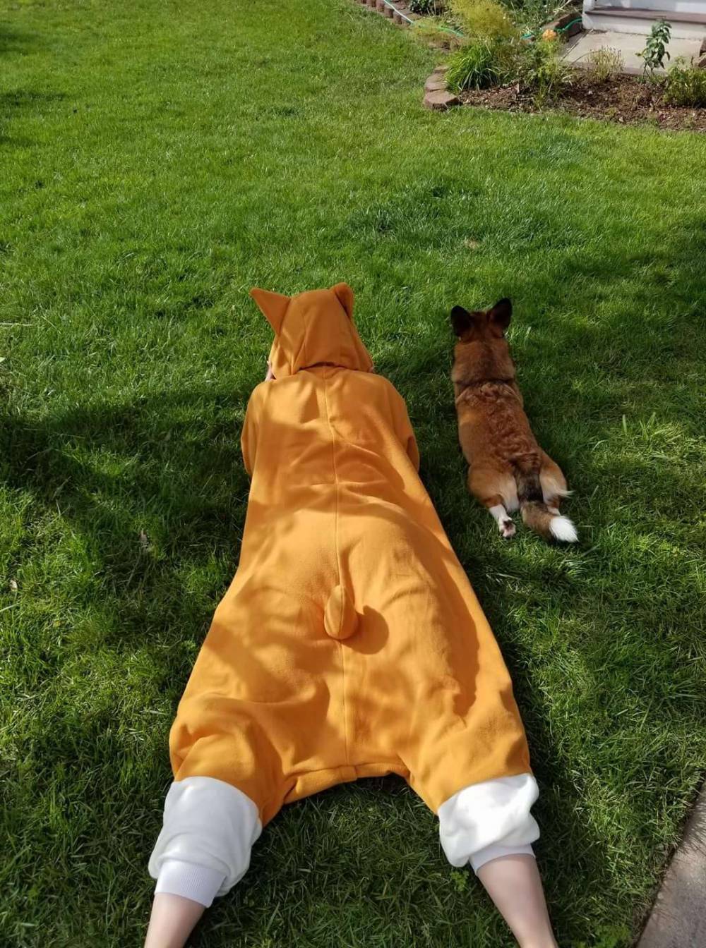 dog lying in grass next to human wearing dog costume