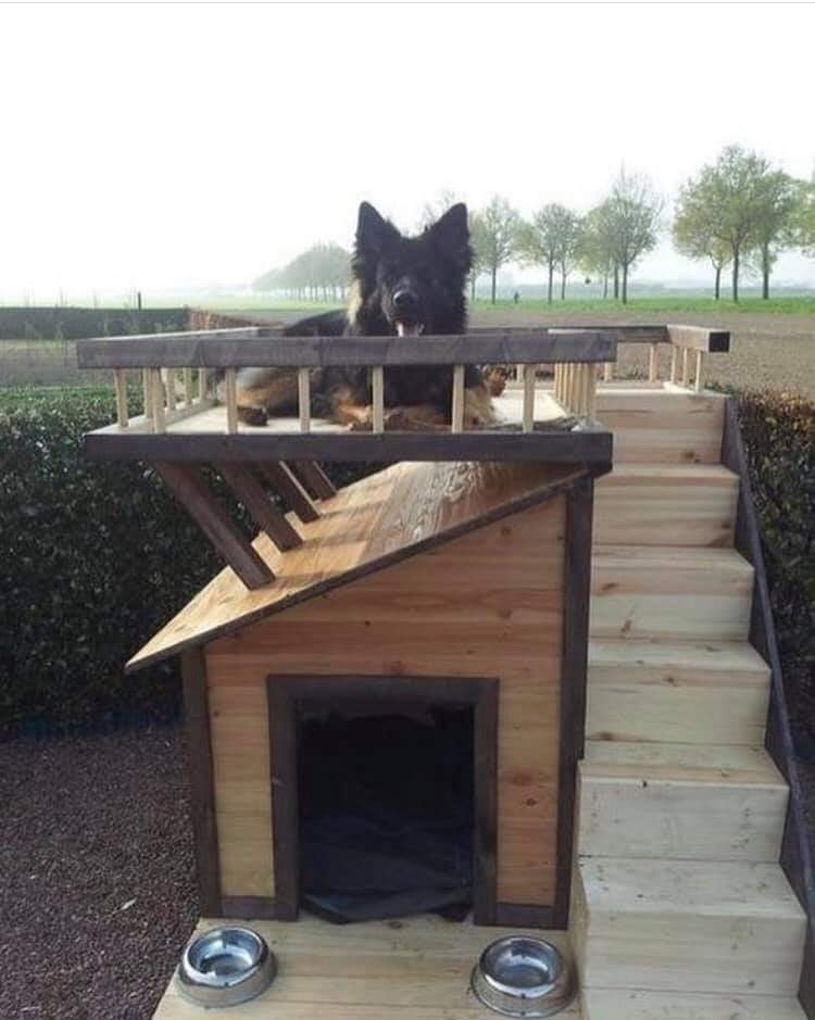 dog house with upper deck