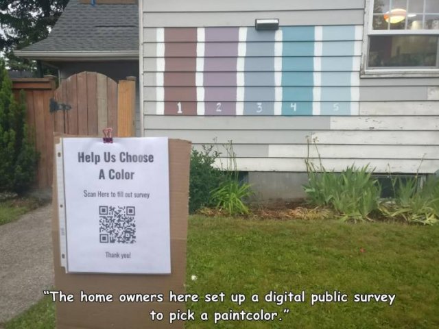 yard - Help Us Choose A Color Stan Here to fill out survey Thank you! "The home owners here set up a digital public survey to pick a paintcolor."