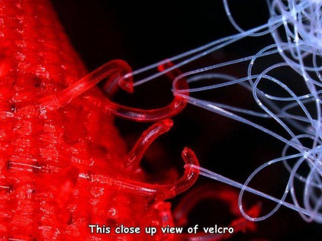 velcro microscope - This close up view of velcro