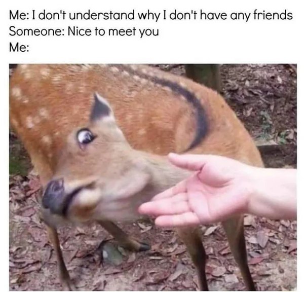 Me I don't understand why I don't have any friends Someone Nice to meet you Me deer swerve neck