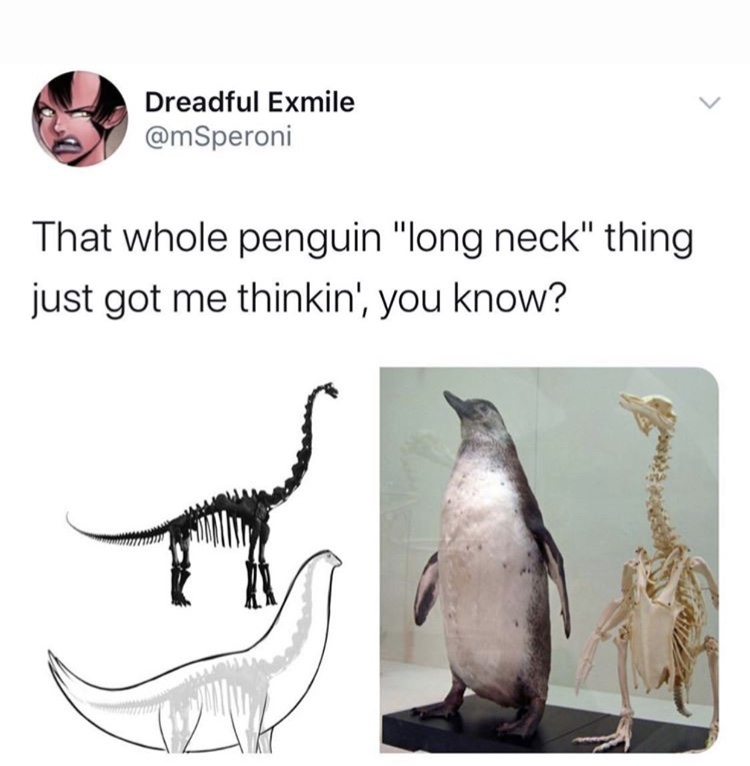 brontosaurus penguin - Dreadful Exmile That whole penguin "long neck" thing just got me thinkin, you know?