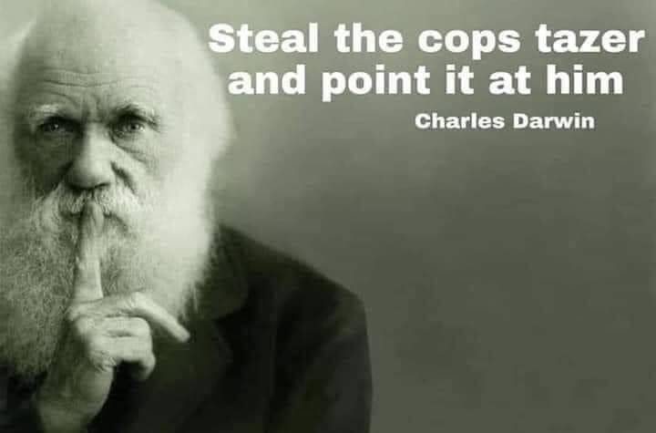 Steal the cops tazer and point it at him Charles Darwin