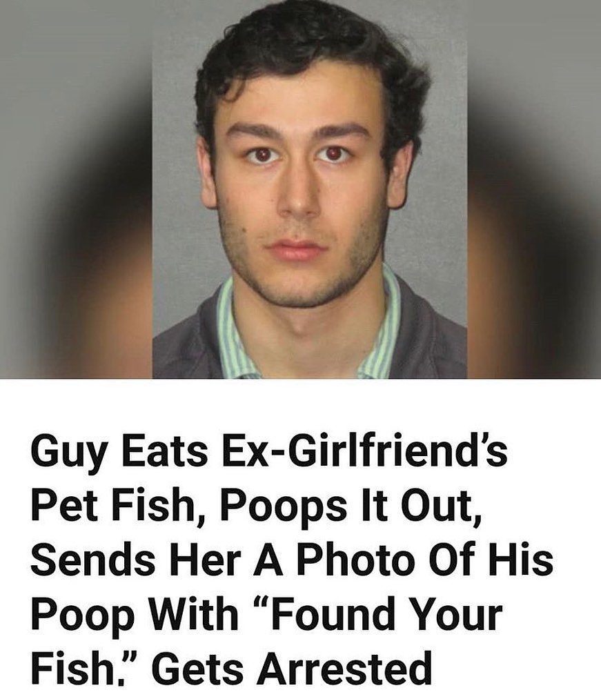 photo caption - Guy Eats ExGirlfriend's Pet Fish, Poops It Out, Sends Her A Photo Of His Poop With "Found Your Fish, Gets Arrested