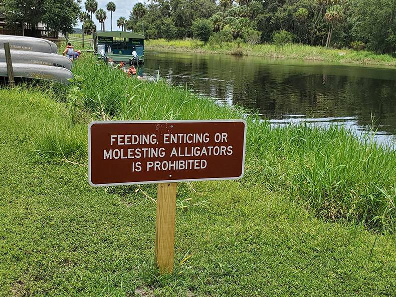 cool random pics - nature reserve - ima Feeding, Enticing Or Molesting Alligators Is Prohibited