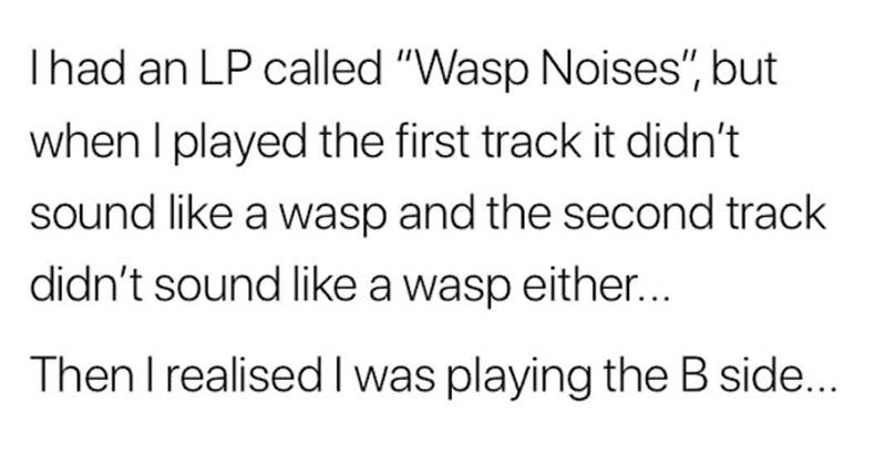 affection erection quote - Thad an Lp called "Wasp Noises", but when I played the first track it didn't sound a wasp and the second track didn't sound a wasp either... Then I realised I was playing the B side...