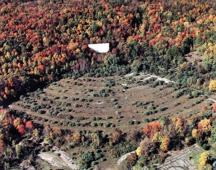 Abandoned drive-in theater. Hopefully because of social distancing these will make a comeback.